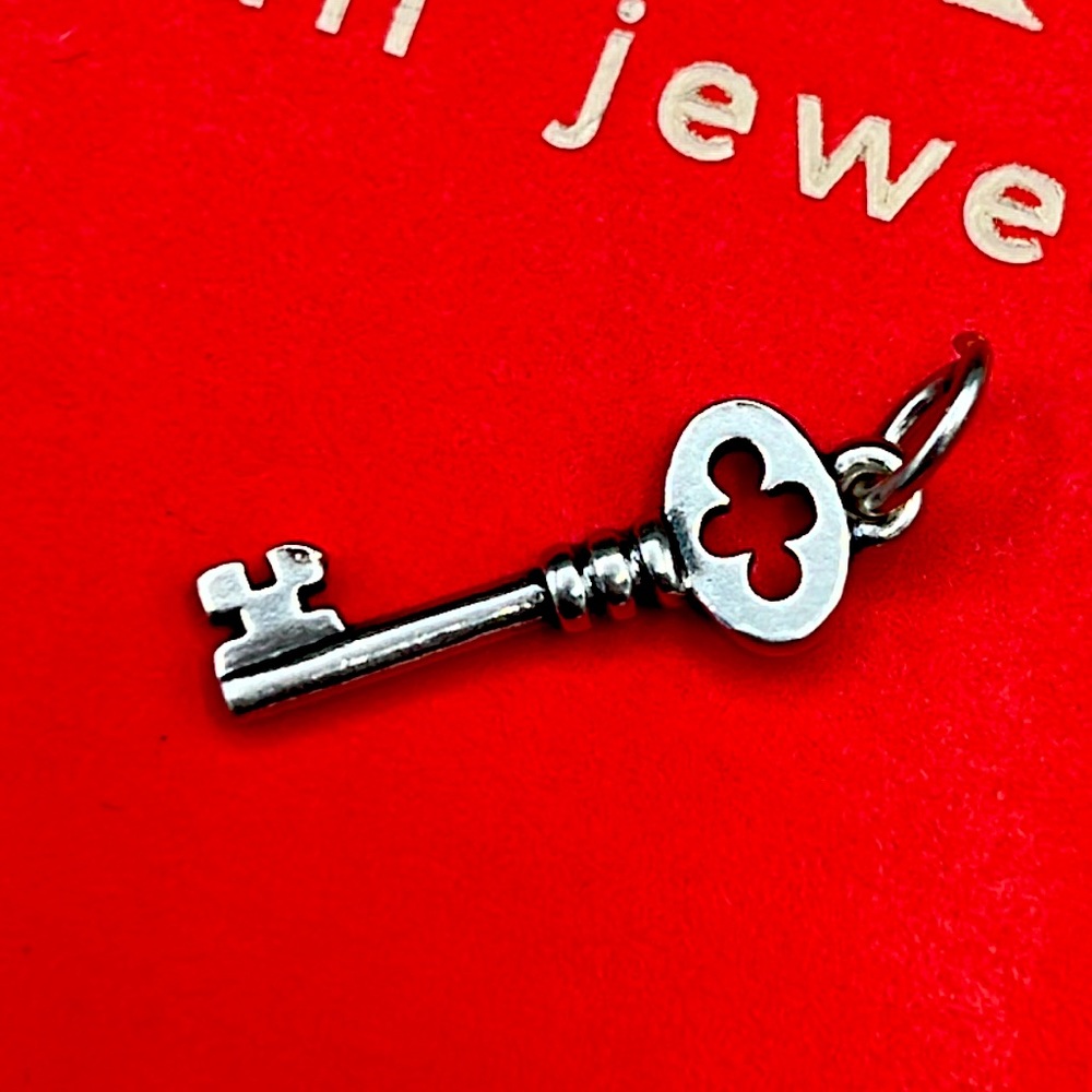James Avery Travel charms